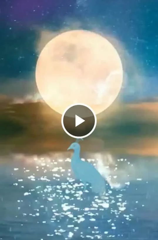 サンプル動画画像