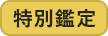特別鑑定